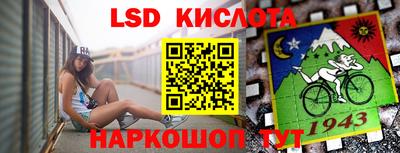 мет Кингисепп