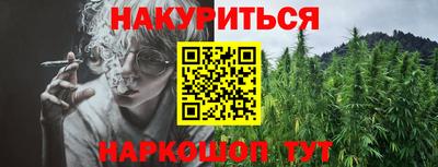 мет Кингисепп