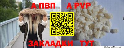мет Кингисепп