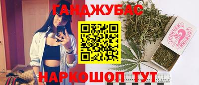 мет Кингисепп