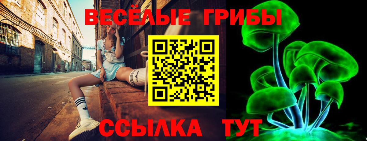 Галлюциногенные грибы мицелий  Вход с VPN  Вышний Волочёк 