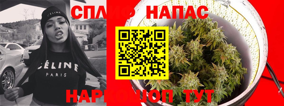 Шишки марихуана планчик Вышний Волочёк